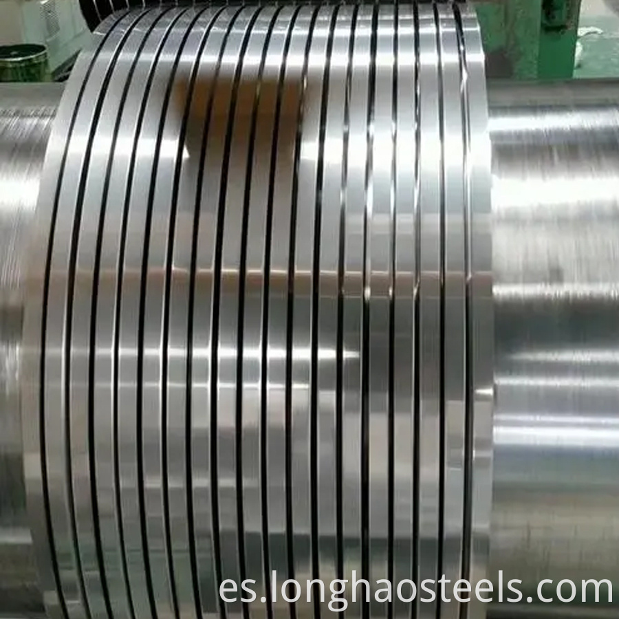 Stainless Steel Strip 